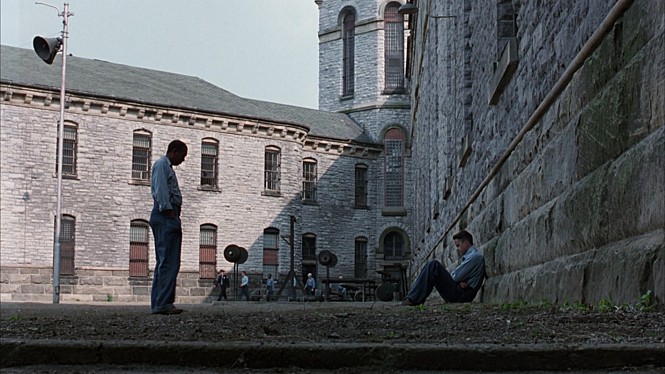 STILLCUT