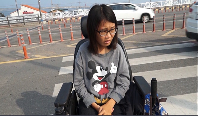 육지의 섬