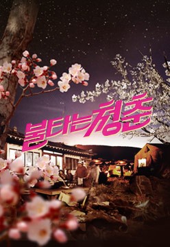불타는 청춘: 청춘의 열정과 성장을 그린 한국 TV시리즈