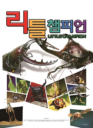 리틀 챔피언