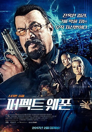 퍼펙트 웨폰
