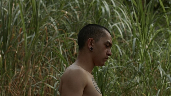 movie_image.jpg?type=m665_443_2