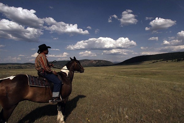 movie_image.jpg?type=m665_443_2