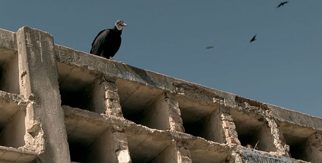 movie_image.jpg?type=m665_443_2
