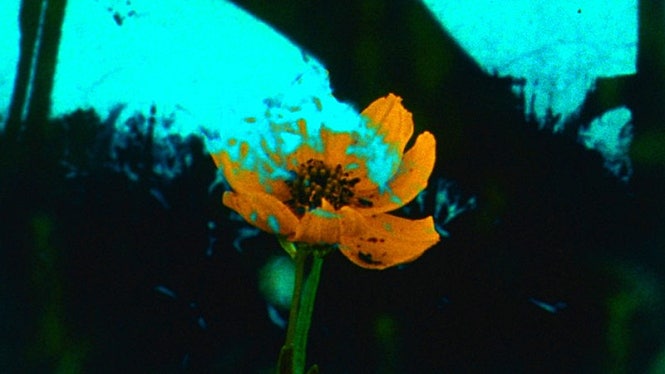 movie_image.jpg?type=m665_443_2