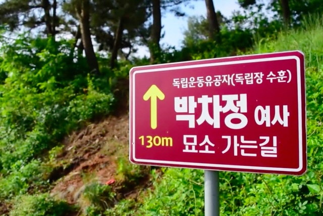 박차정을 찾아서