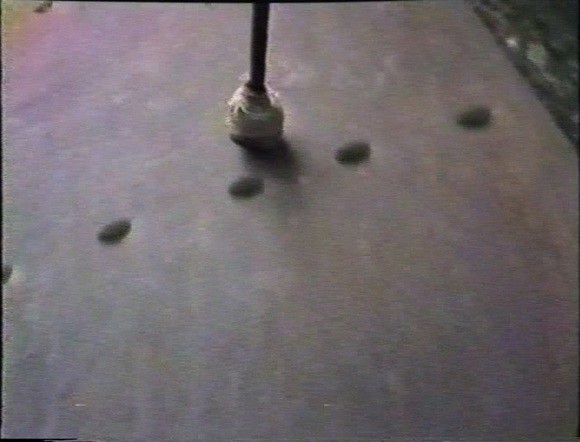 movie_image.jpg?type=m665_443_2
