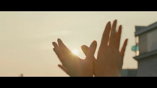 벌새