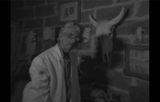 포그 다이어리즈