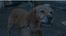 movie_image.jpg?type=m665_443_2