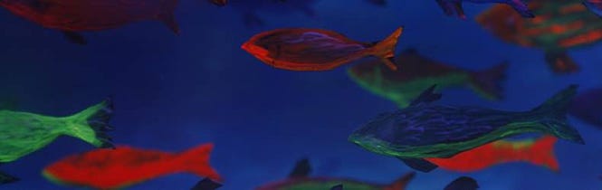 피셔맨 앤 더 걸