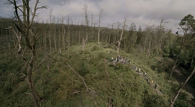 애시드 포레스트