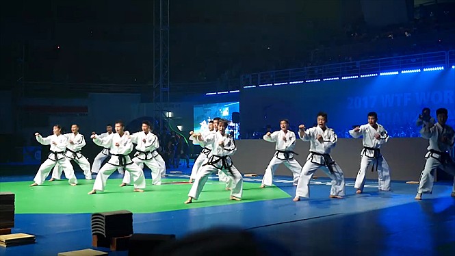 태권도 통일을 꿈꾸다: 한국 다큐멘터리 영화의 힐링 메시지