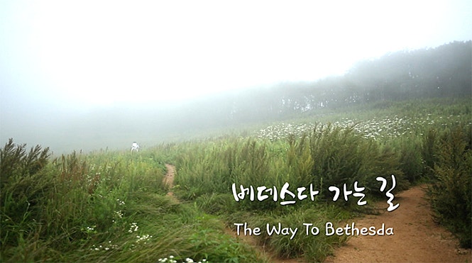 베데스다 가는 길