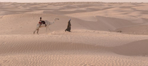 movie_image.jpg?type=m665_443_2