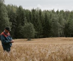 하트 오브 더 랜드