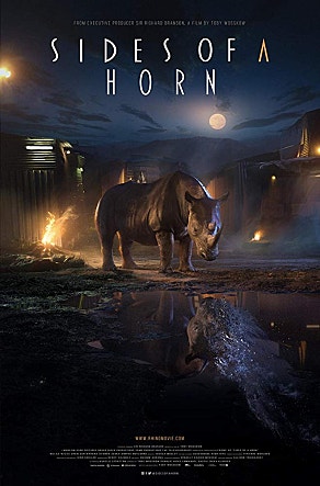 17분의 깊은 울림, 단편영화 '사이즈 오브 어 혼' 분석