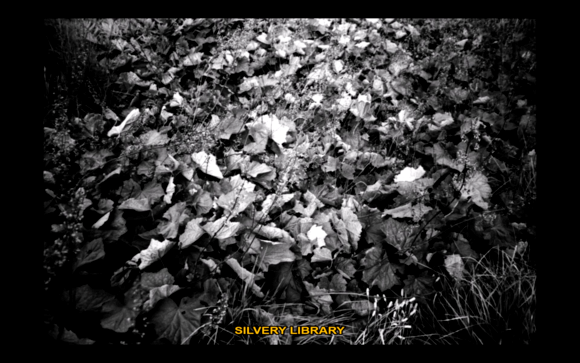 movie_image.jpg?type=m665_443_2