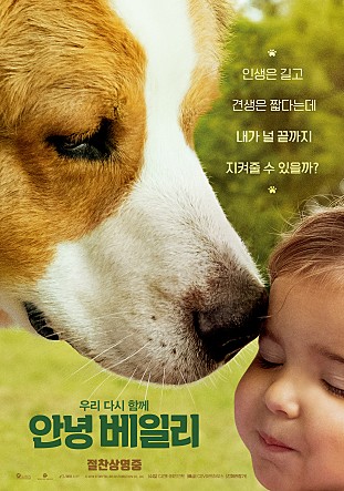 안녕 베일리