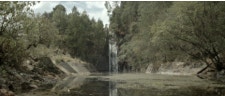 movie_image.jpg?type=m665_443_2