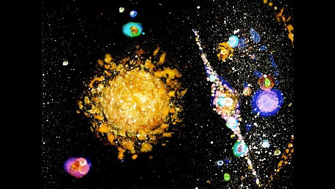 movie_image.jpg?type=m665_443_2