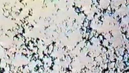 이페메랄 솔리디티