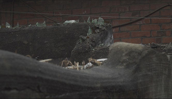 movie_image.jpg?type=m665_443_2