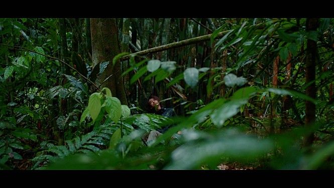 movie_image.jpg?type=m665_443_2
