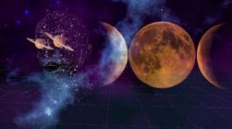 movie_image.jpg?type=m665_443_2