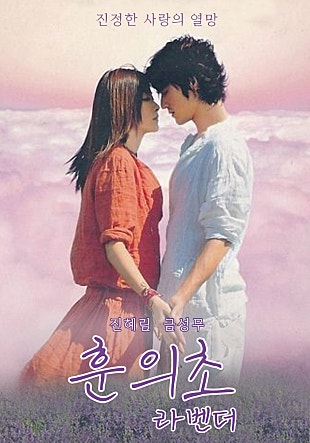 훈의초 : 라벤더