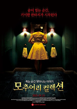 모추어리 컬렉션