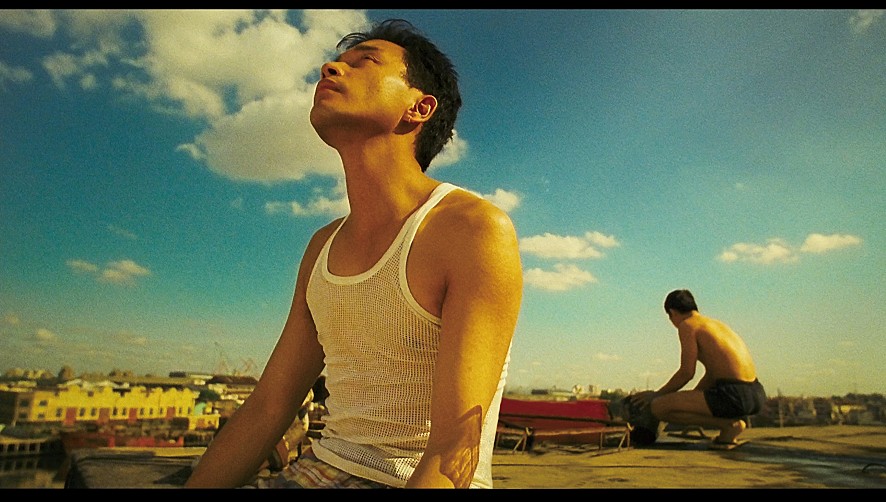 STILLCUT