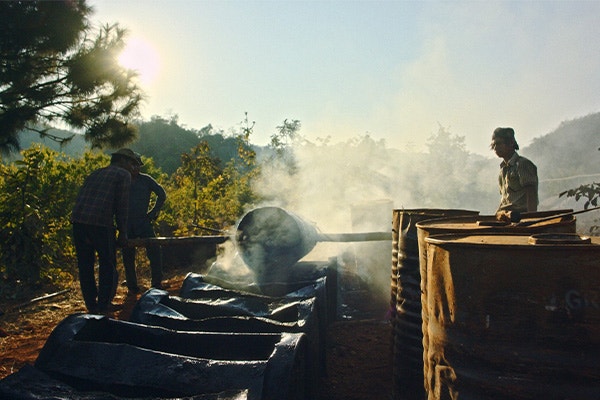 movie_image.jpg?type=m665_443_2