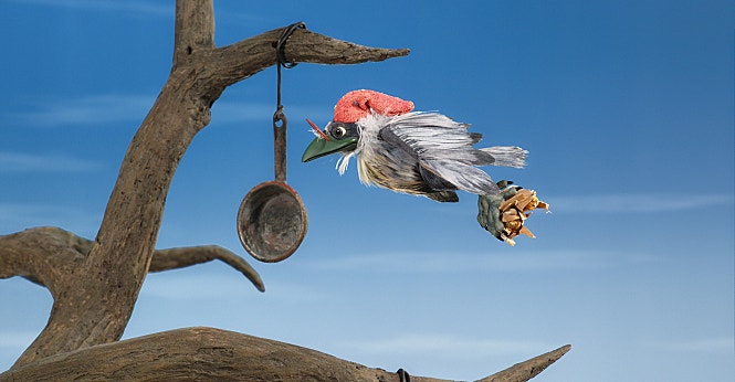 코야와 지그재그 포크