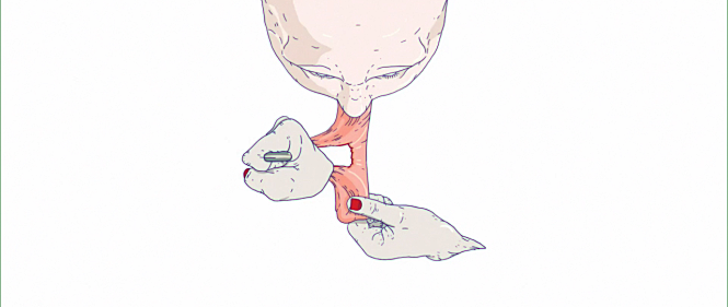 퓨리