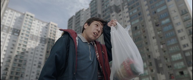 더 후프