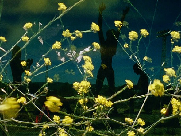 movie_image.jpg?type=m665_443_2