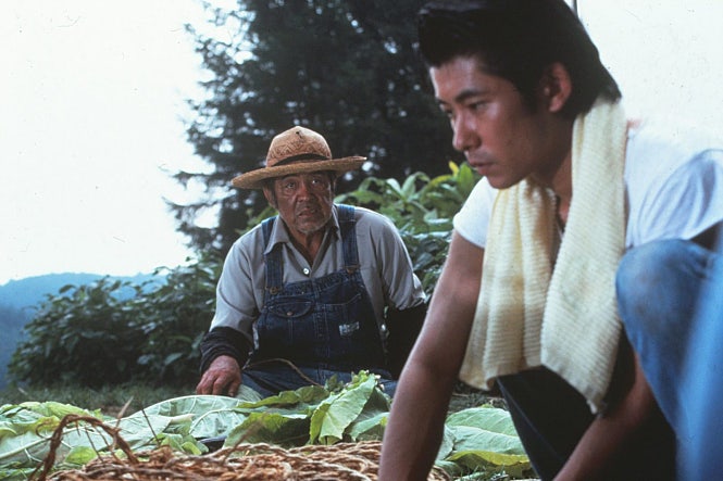 movie_image.jpg?type=m665_443_2